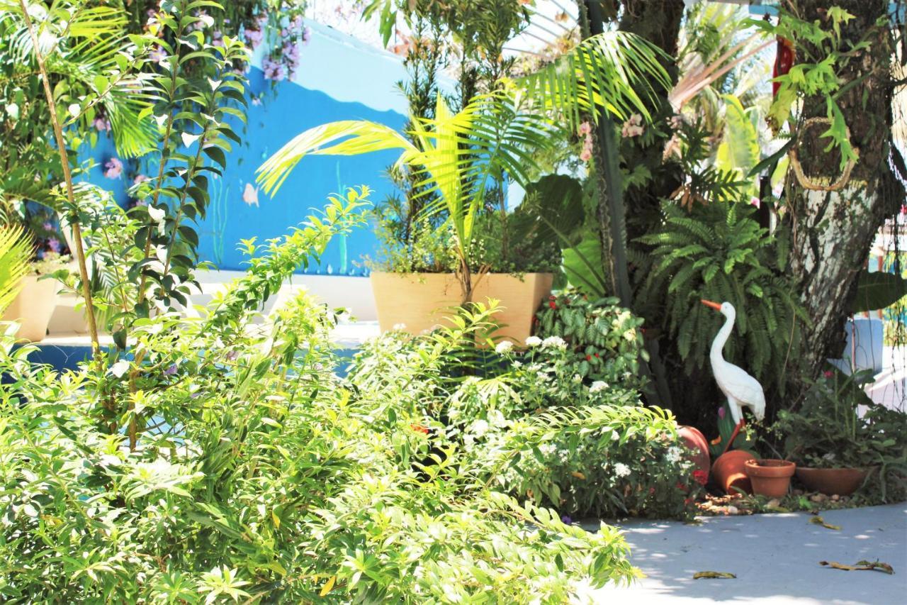 Porto Bahia Hotel Porto Seguro Exteriér fotografie